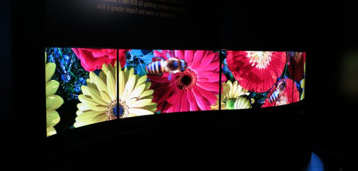 Curved-OLED-Demonstration